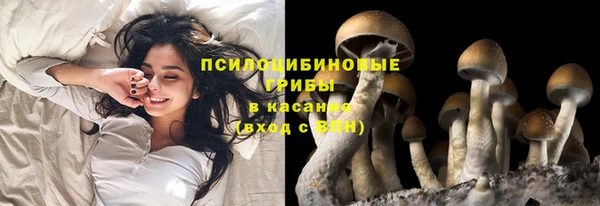 сатива Сафоново