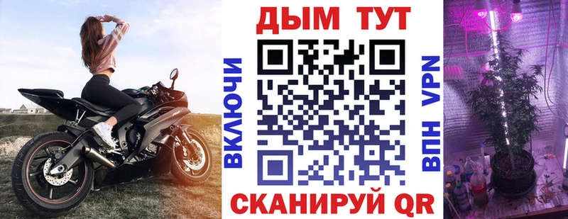 купить   Карабаш  Бошки Шишки тримм 